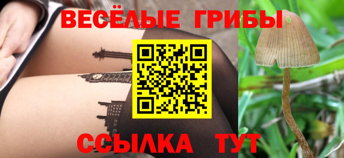 Мелеуз  Псилоцибиновые грибы ЛСД  Галлюциногенные грибы прущие грибы  Вход с VPN 